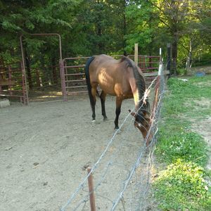 Meet your Posher, Edna